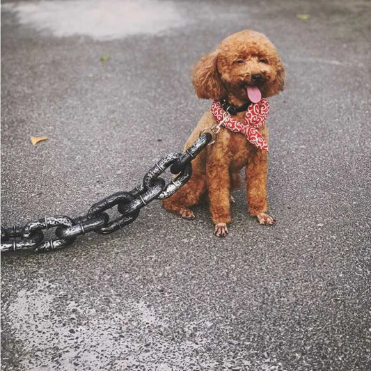 PawPal Chain Leash™ - The Ultimate Prop for Dog Lovers