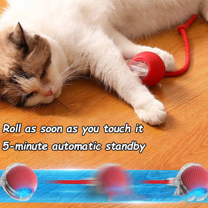 PurrPlay™ Interactive Cat Toy Ball