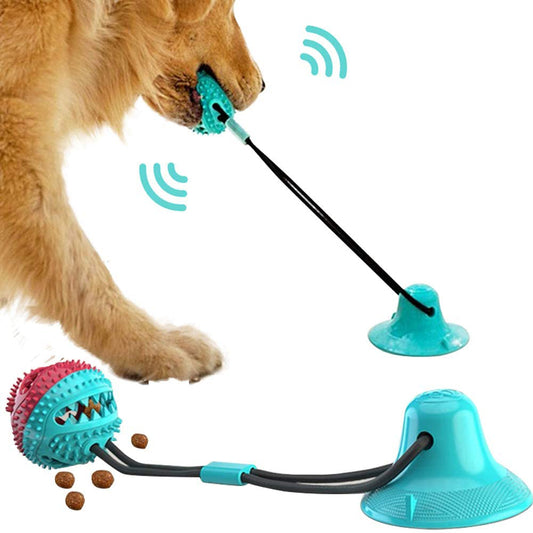 Tauziehen-Spielzeug für Hunde 