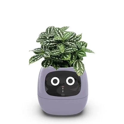 PlantPal Slimme Robot Plantenbak Buddy